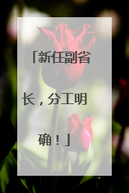 新任副省长，分工明确！