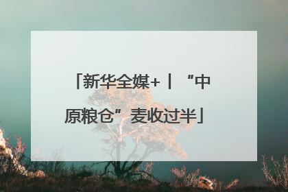 新华全媒+丨“中原粮仓”麦收过半