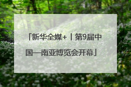 新华全媒+丨第9届中国—南亚博览会开幕