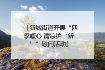 新城街道开展“四季暖心 清凉护‘新’”慰问活动