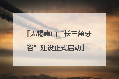无锡惠山“长三角牙谷”建设正式启动