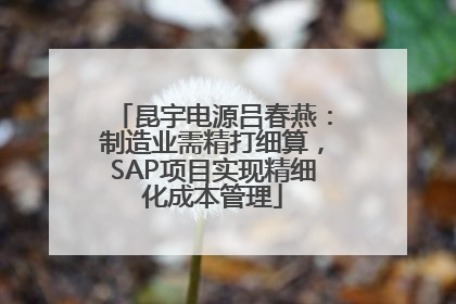 昆宇电源吕春燕：制造业需精打细算，SAP项目实现精细化成本管理