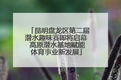 昆明盘龙区第二届潜水趣味赛即将启幕 高原潜水基地赋能体育事业新发展