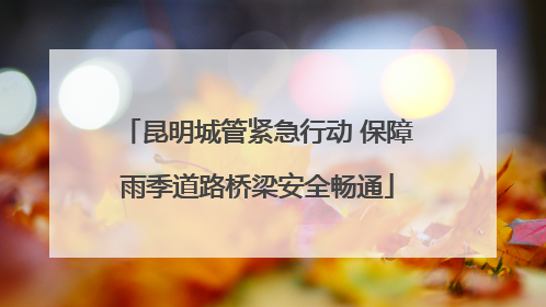 昆明城管紧急行动 保障雨季道路桥梁安全畅通