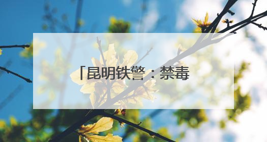 昆明铁警：禁毒宣传多点开花，筑牢站车无毒防线