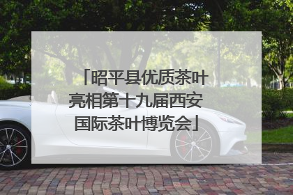 昭平县优质茶叶亮相第十九届西安国际茶叶博览会