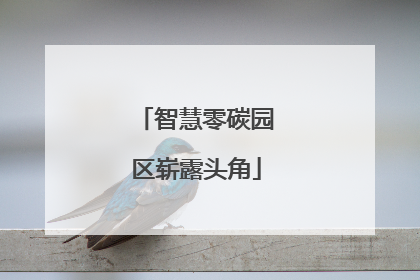 智慧零碳园区崭露头角