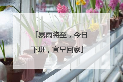暴雨将至，今日下班，宜早回家