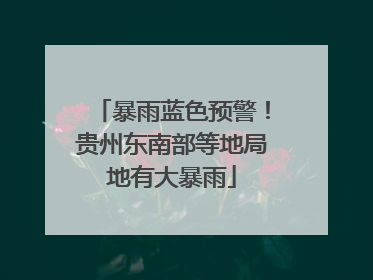 暴雨蓝色预警！贵州东南部等地局地有大暴雨