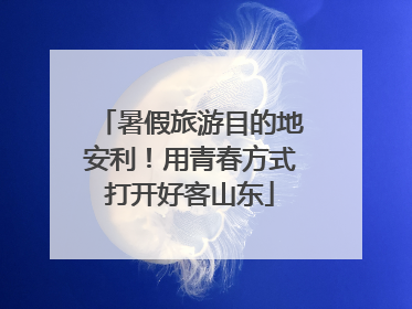 暑假旅游目的地安利！用青春方式打开好客山东