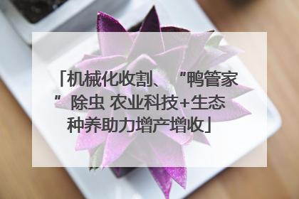机械化收割、“鸭管家”除虫 农业科技+生态种养助力增产增收