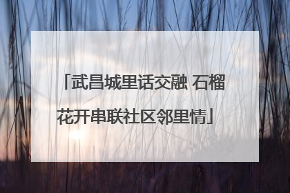 武昌城里话交融 石榴花开串联社区邻里情