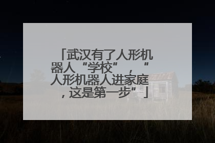 武汉有了人形机器人“学校”，“人形机器人进家庭，这是第一步”