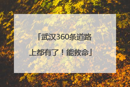 武汉360条道路上都有了！能救命