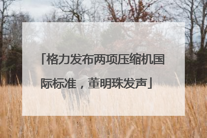 格力发布两项压缩机国际标准，董明珠发声
