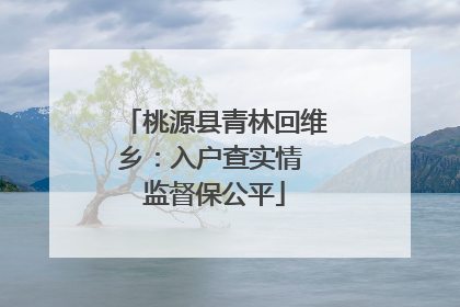 桃源县青林回维乡：入户查实情 监督保公平