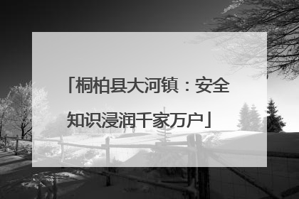 桐柏县大河镇：安全知识浸润千家万户