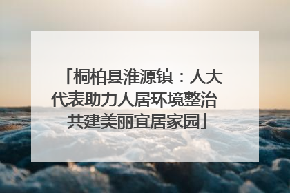 桐柏县淮源镇:人大代表助力人居环境整治 共建美丽宜居家园