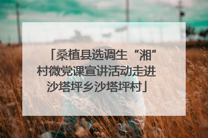 桑植县选调生“湘”村微党课宣讲活动走进沙塔坪乡沙塔坪村