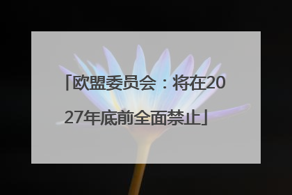 欧盟委员会：将在2027年底前全面禁止