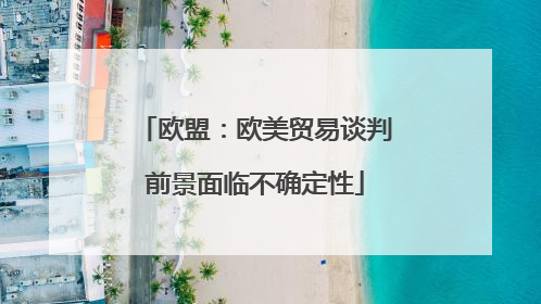 欧盟：欧美贸易谈判前景面临不确定性
