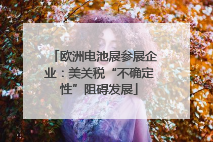 欧洲电池展参展企业：美关税“不确定性”阻碍发展