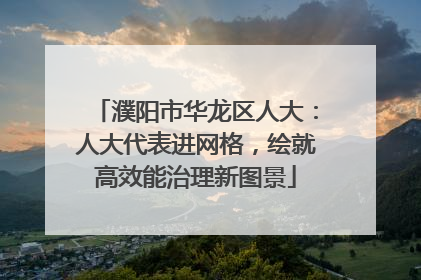 濮阳市华龙区人大：人大代表进网格，绘就高效能治理新图景