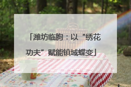 潍坊临朐：以“绣花功夫”赋能镇域蝶变