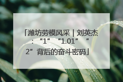 潍坊劳模风采｜刘英杰：“1”“1.01”“2”背后的奋斗密码