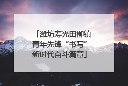 潍坊寿光田柳镇青年先锋“书写”新时代奋斗篇章