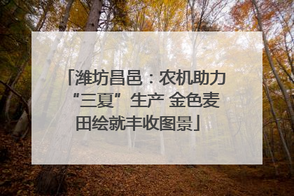 潍坊昌邑：农机助力“三夏”生产 金色麦田绘就丰收图景