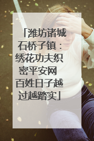 潍坊诸城石桥子镇：绣花功夫织密平安网 百姓日子越过越踏实