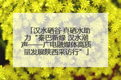 汉水硒谷·真硒水助力“秦巴新绿 汉水潮声——广电融媒体高质量发展陕西采访行”