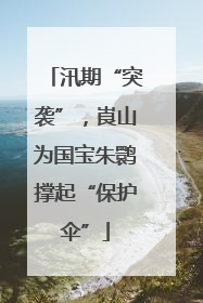 汛期“突袭”，崀山为国宝朱鹮撑起“保护伞”