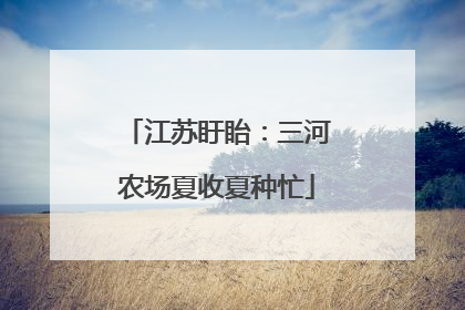江苏盱眙：三河农场夏收夏种忙