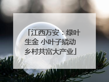 江西万安：绿叶生金 小叶子撬动乡村共富大产业