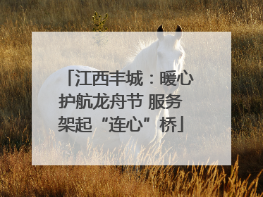 江西丰城：暖心护航龙舟节 服务架起“连心”桥