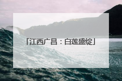 江西广昌：白莲盛绽