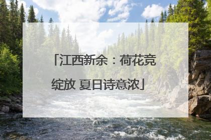 江西新余：荷花竞绽放 夏日诗意浓