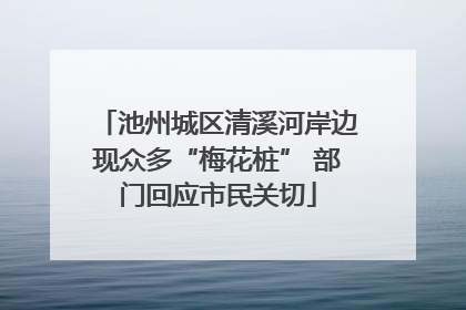 池州城区清溪河岸边现众多“梅花桩” 部门回应市民关切