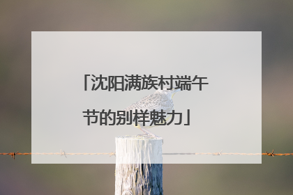 沈阳满族村端午节的别样魅力