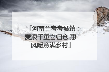 河南兰考考城镇：麦浪千重喜归仓 惠风暖意满乡村