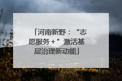 河南新野：“志愿服务＋”激活基层治理新动能