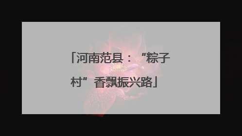 河南范县：“粽子村”香飘振兴路