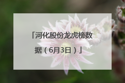 河化股份龙虎榜数据（6月3日）
