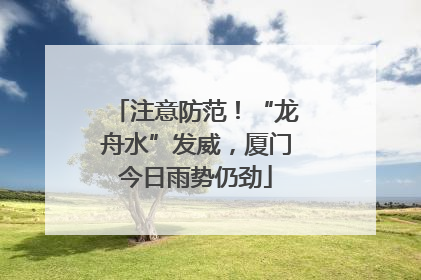 注意防范！“龙舟水”发威，厦门今日雨势仍劲