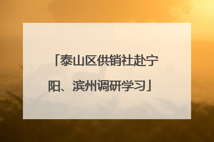 泰山区供销社赴宁阳、滨州调研学习