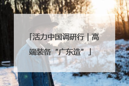 活力中国调研行｜高端装备“广东造”