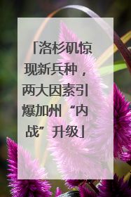 洛杉矶惊现新兵种，两大因素引爆加州“内战”升级