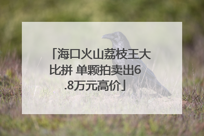 海口火山荔枝王大比拼 单颗拍卖出6.8万元高价